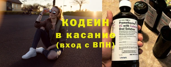 индика Протвино